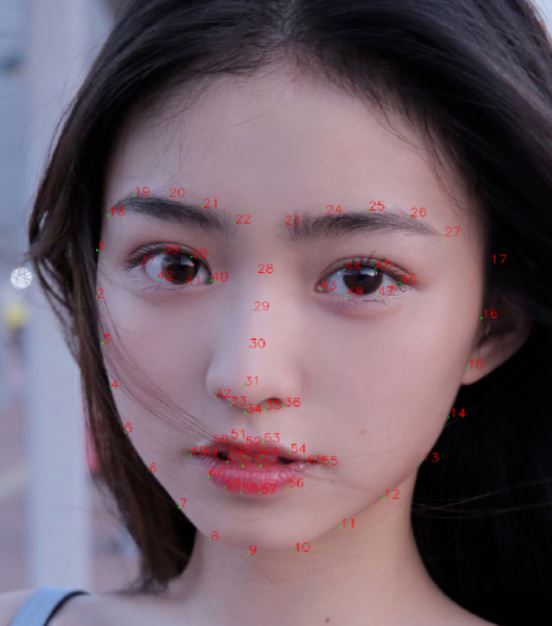 【A58】基于Python+OpenCV+dlib實現(xiàn)人臉68個關(guān)鍵點檢測并標注