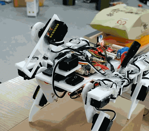 左右云臺(tái)穩(wěn).gif