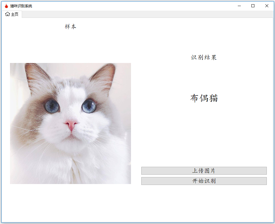 布偶貓.PNG