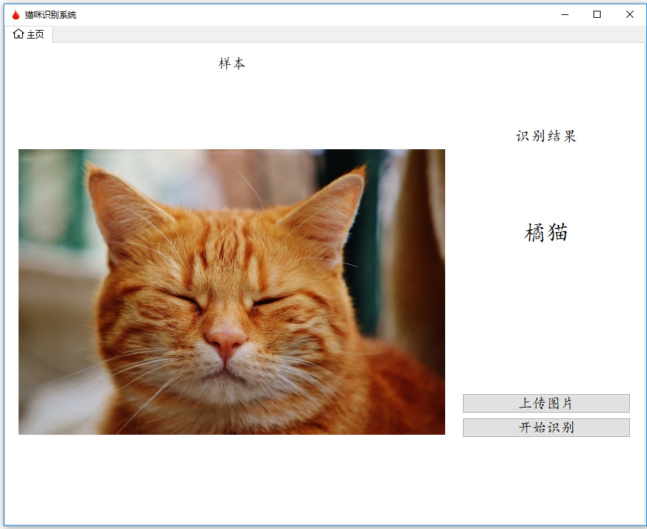 橘貓.PNG